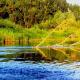 Реки Урала: описание, характеристика, особенности и интересные факты Река яик в наше время